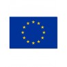 Spausta ES vėliava