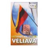 Siūta Lietuvos vėliava